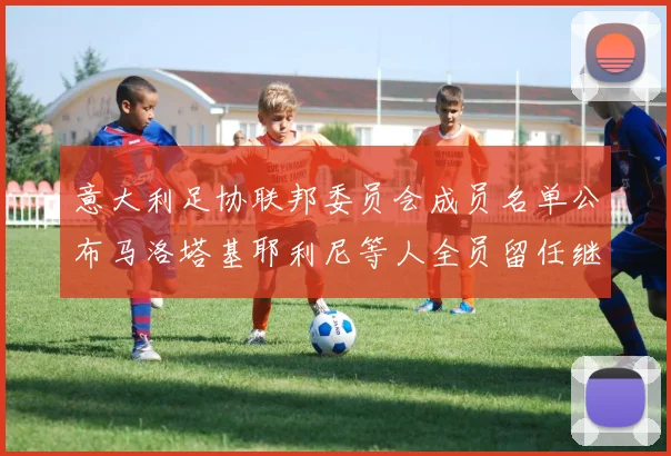 意大利足协联邦委员会成员名单公布马洛塔基耶利尼等人全员留任继续服务