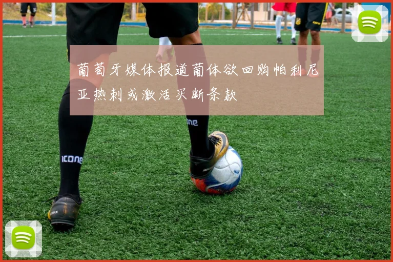 葡萄牙媒体报道葡体欲回购帕利尼亚热刺或激活买断条款